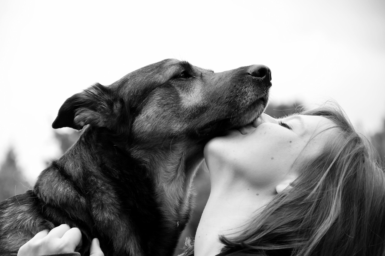 dog, human, connectedness-7092595.jpg